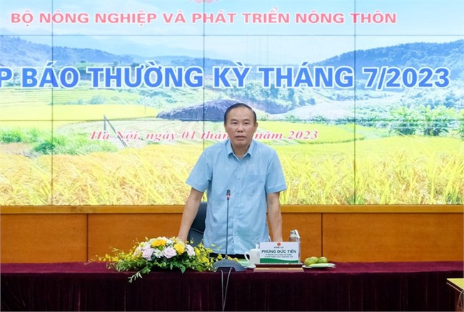 Tăng cường xuất khẩu gạo không ảnh hưởng đến nguồn cung tiêu dùng và xuất khẩu (01/8/2023)